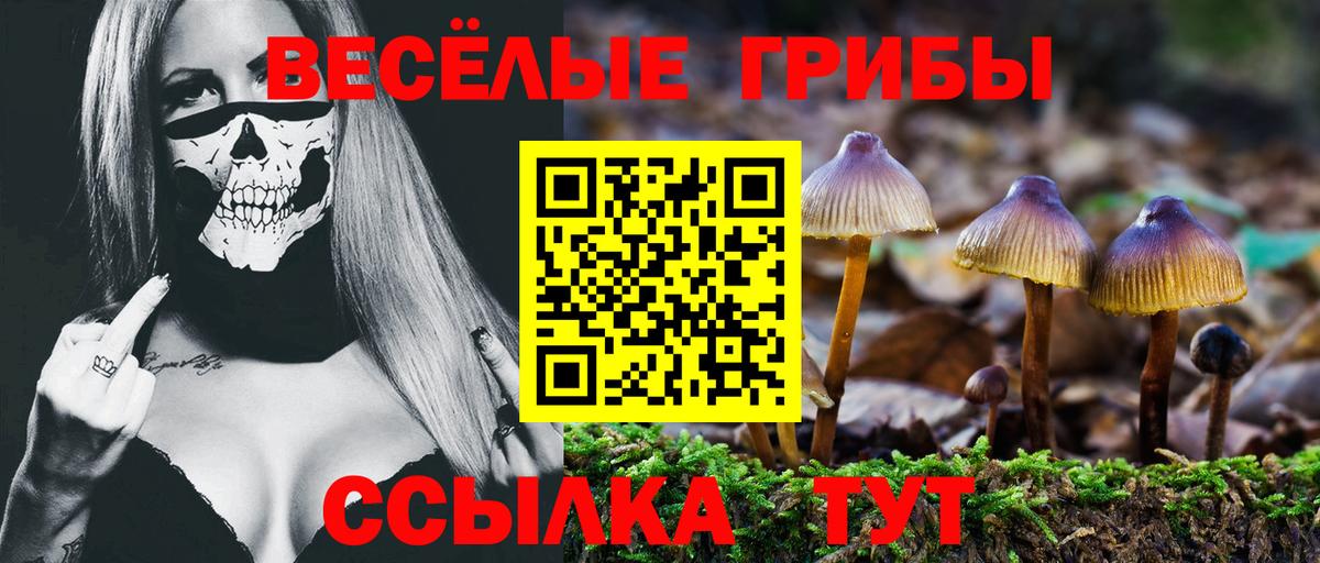 Псилоцибиновые грибы мицелий  Вход с VPN  Крымск  Псилоцибиновые грибы Cubensis 