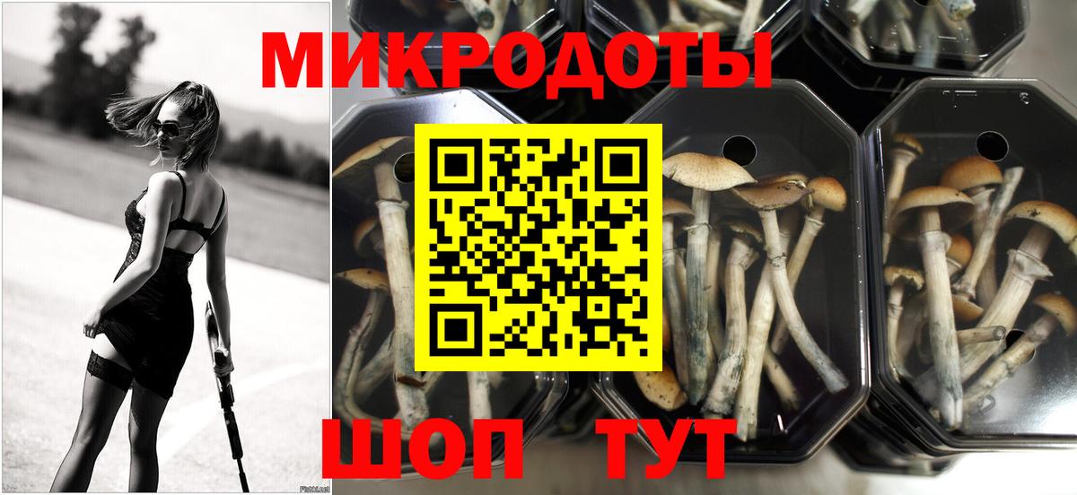 Галлюциногенные грибы Magic Shrooms Крымск